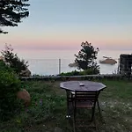 Lamarzellina