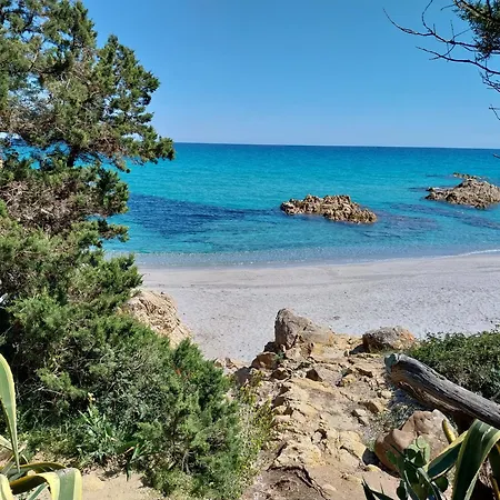 Lamarzellina